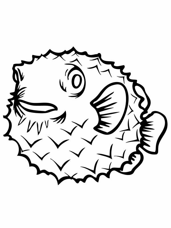 Pufferfish coloring #9, Download drawings