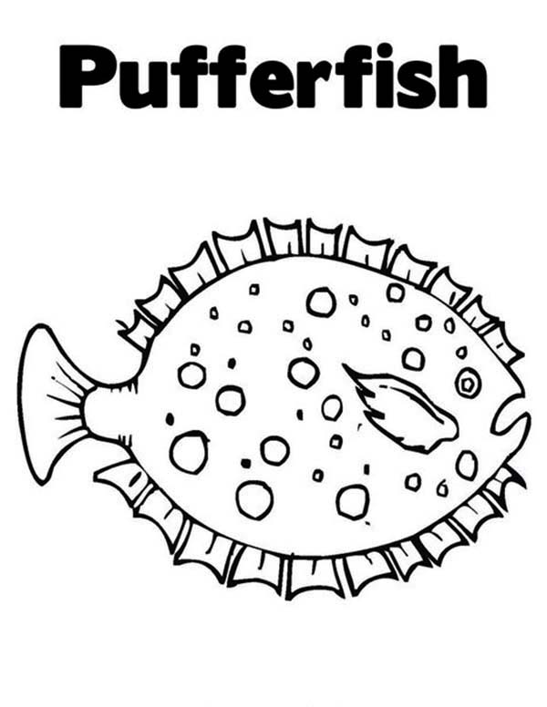 Pufferfish coloring #18, Download drawings