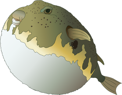 Pufferfish svg #16, Download drawings
