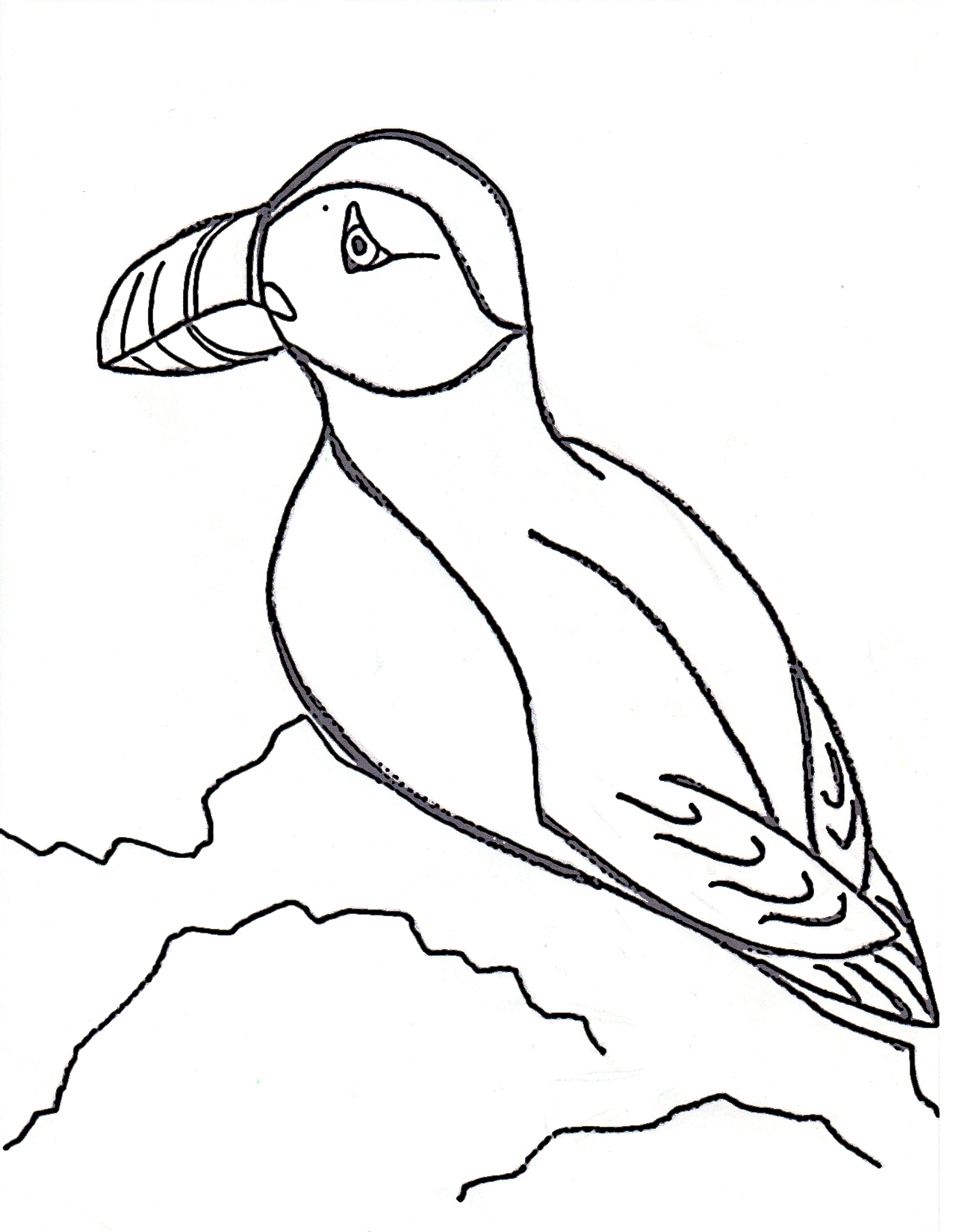 Puffin coloring #2, Download drawings