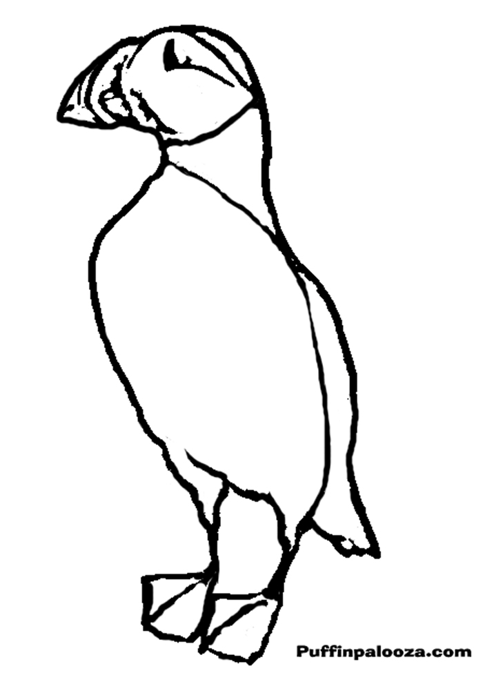 Puffin coloring #3, Download drawings