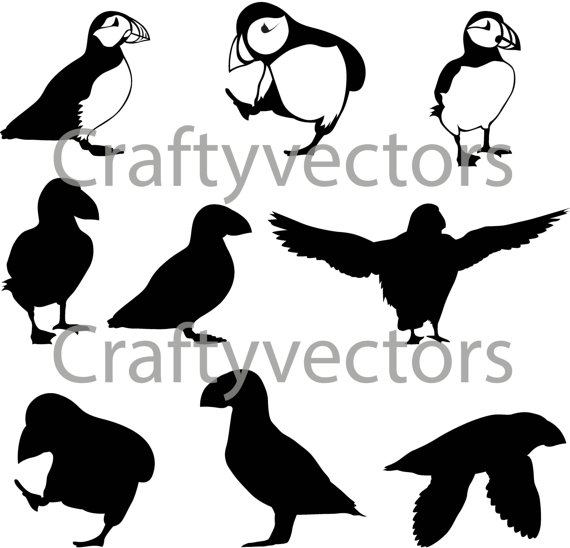 Puffin svg #20, Download drawings