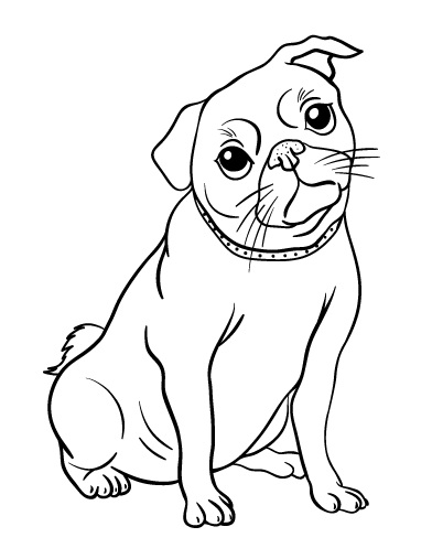 Pug coloring #19, Download drawings