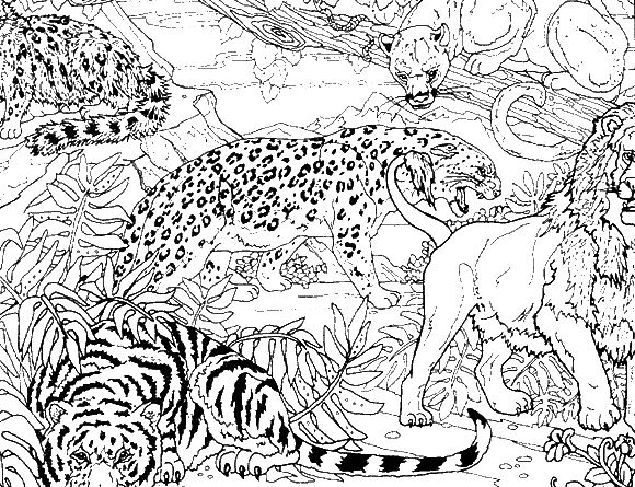 Puma coloring #19, Download drawings