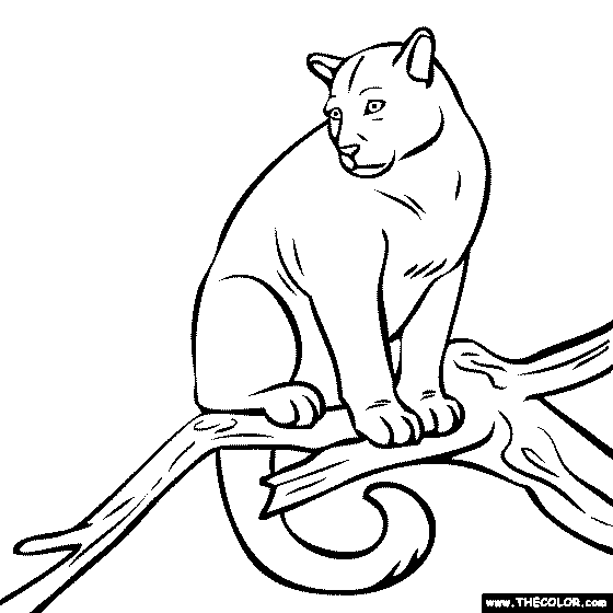 Puma coloring #1, Download drawings