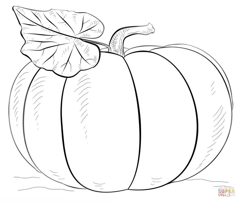 Pumpkin coloring #14, Download drawings