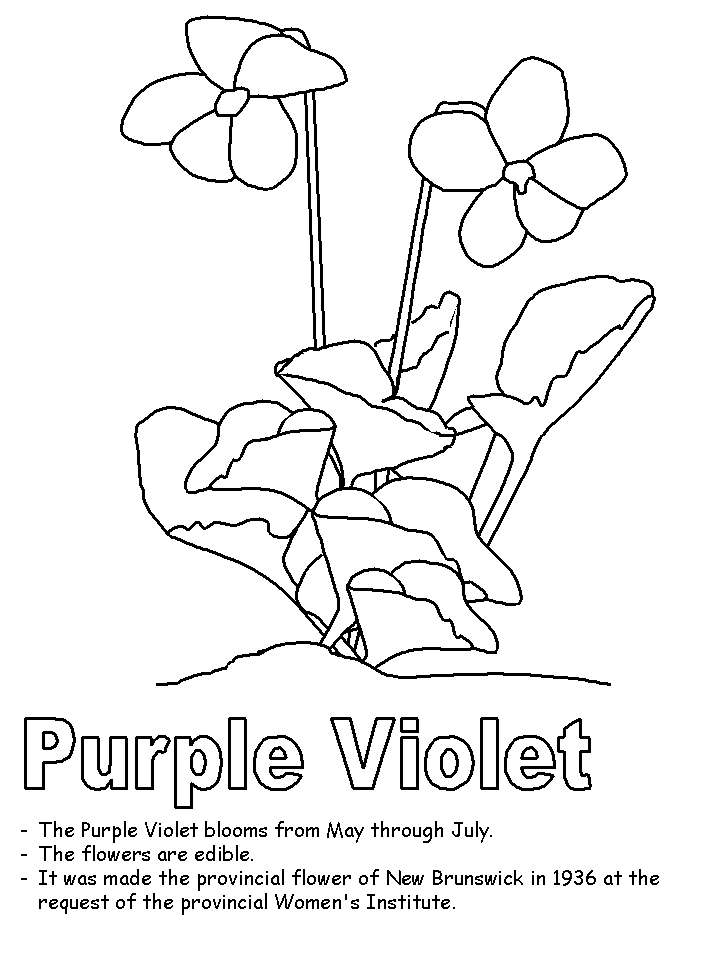 Purple Flower coloring #19, Download drawings