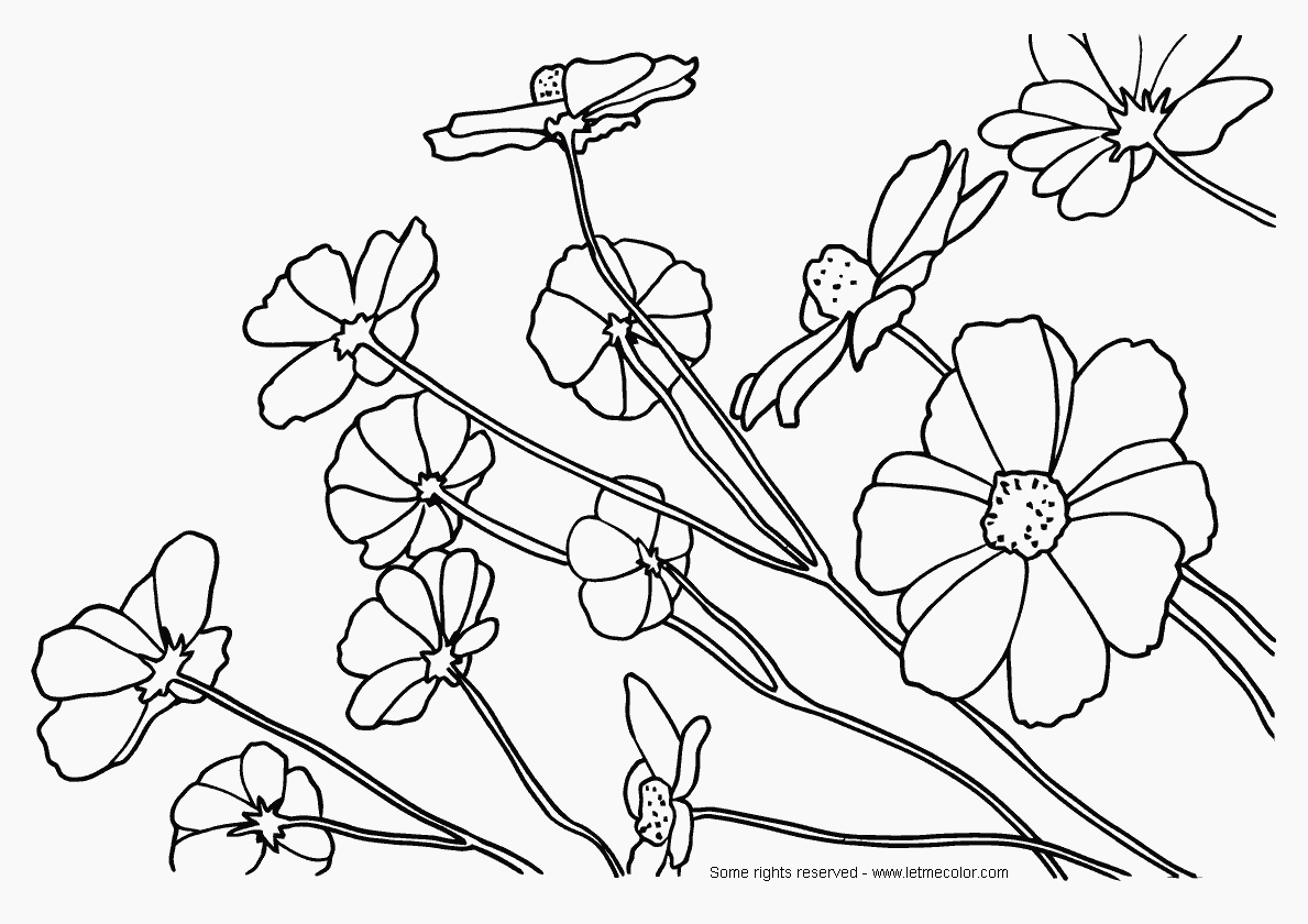 Purple Flower coloring #5, Download drawings