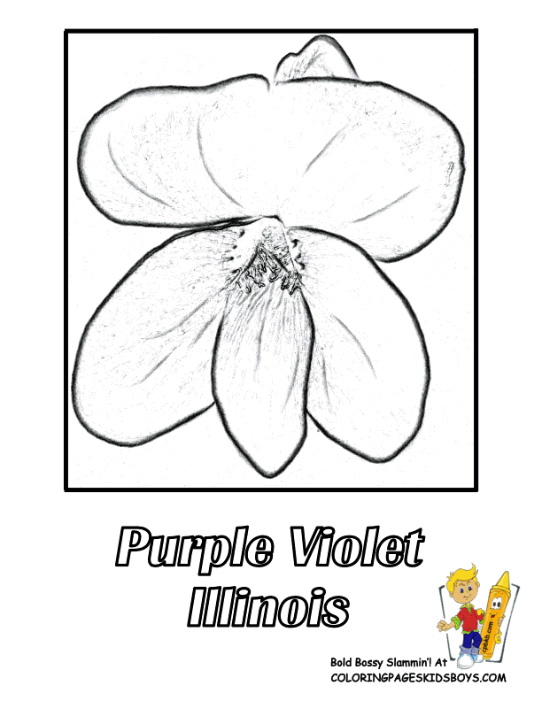 Purple Flower coloring #16, Download drawings