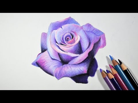 Purple Rose coloring #12, Download drawings