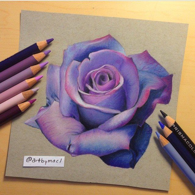 Purple Rose coloring #15, Download drawings