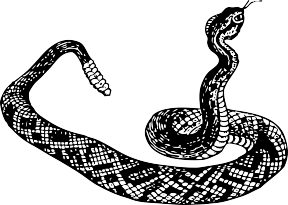 White Python clipart #11, Download drawings
