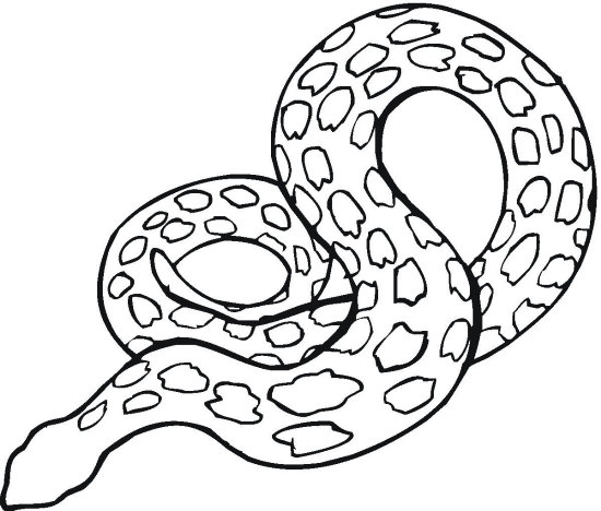 Python coloring #1, Download drawings