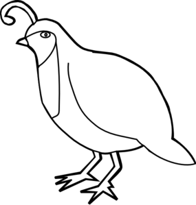 Quail clipart #6, Download drawings