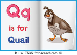 Quail clipart #3, Download drawings