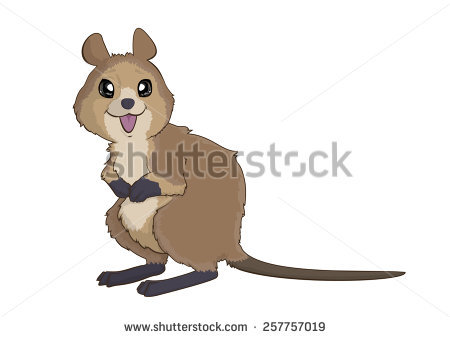 Quokka clipart #11, Download drawings