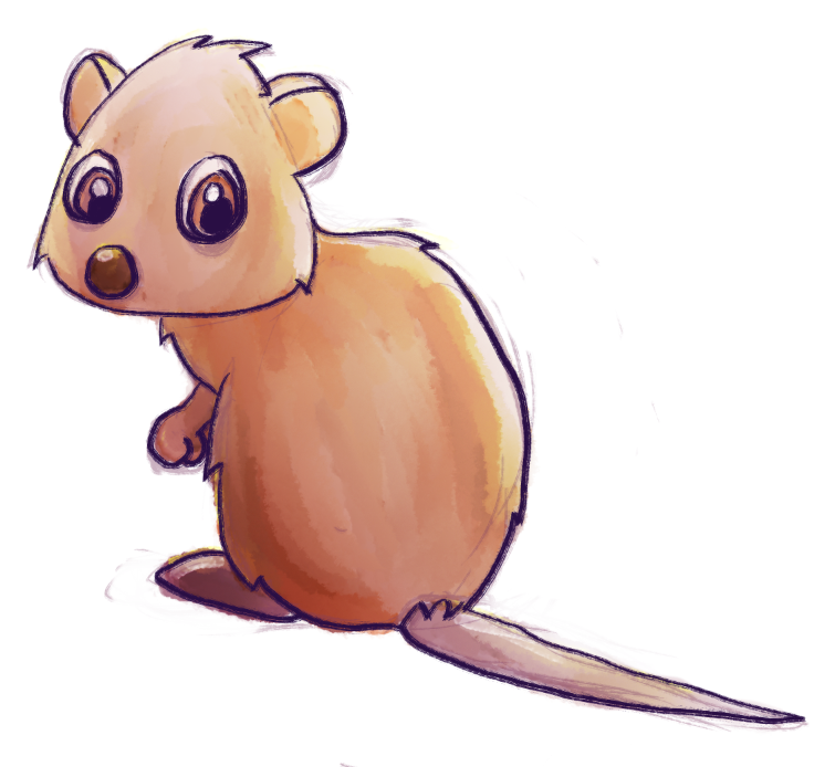 Quokka clipart #13, Download drawings