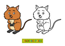 Quokka clipart #4, Download drawings
