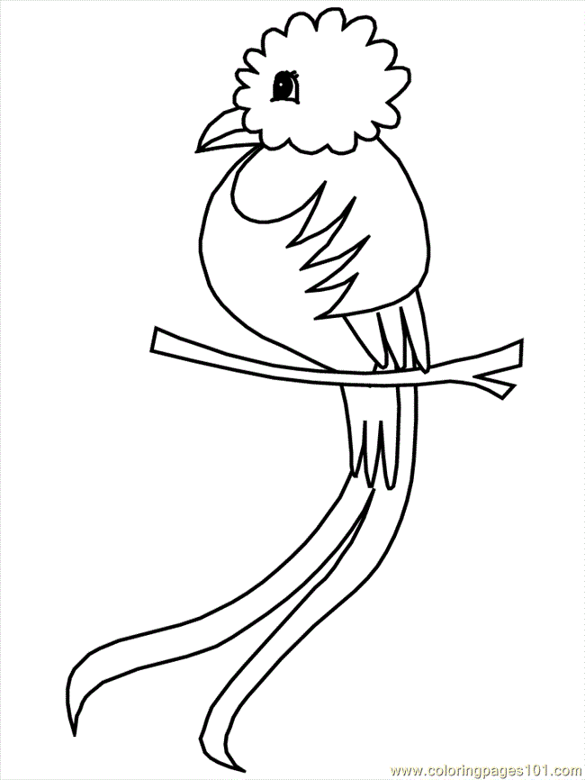 Quetzal  clipart #16, Download drawings