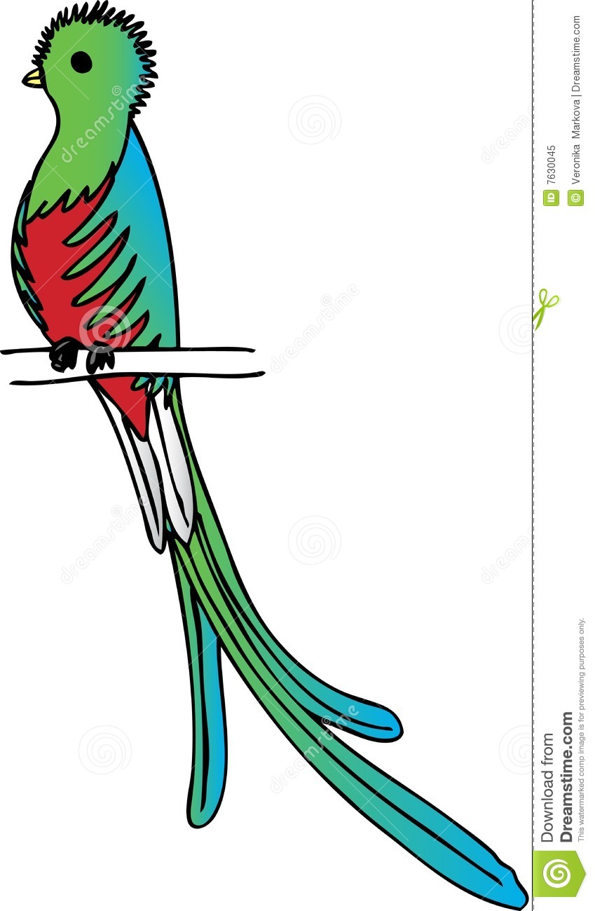 Quetzal Of Guatemala clipart #5, Download drawings