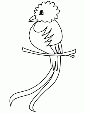 Quetzal  coloring #16, Download drawings