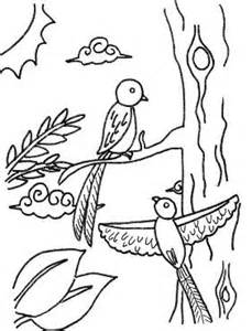 Quetzal  coloring #7, Download drawings