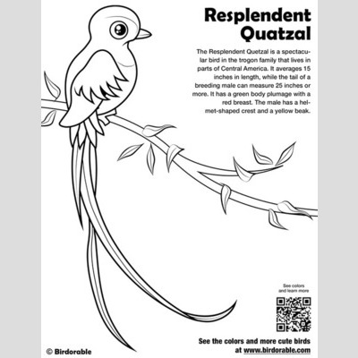 Quetzal  coloring #20, Download drawings