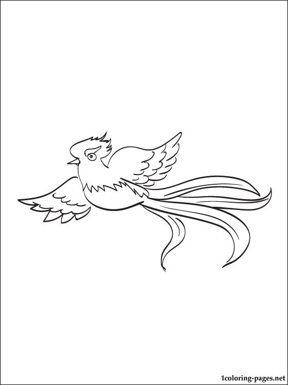 Quetzal  coloring #15, Download drawings