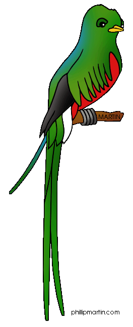 The Quetzal Of Guatamala clipart #20, Download drawings