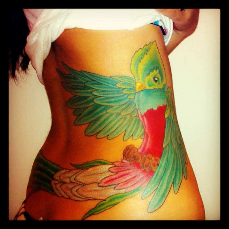Quetzal Of Guatemala svg #9, Download drawings