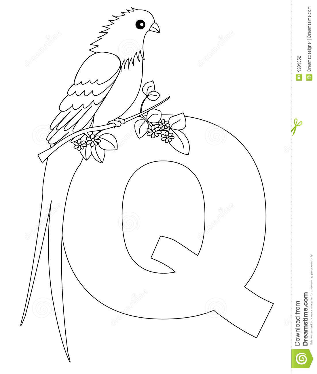The Quetzal Of Guatamala coloring #11, Download drawings