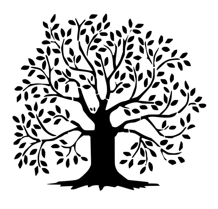 Quiver Tree svg #5, Download drawings
