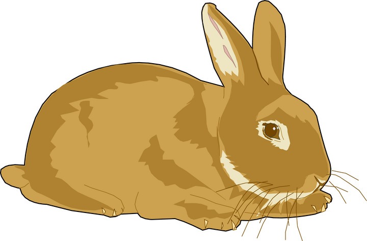 Rabbit clipart #18, Download drawings