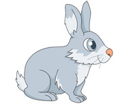 Rabbit clipart #11, Download drawings