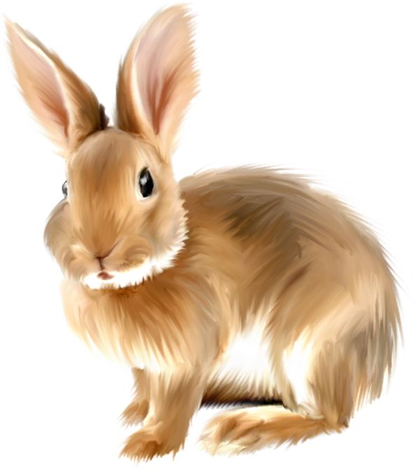 Rabbit clipart #13, Download drawings
