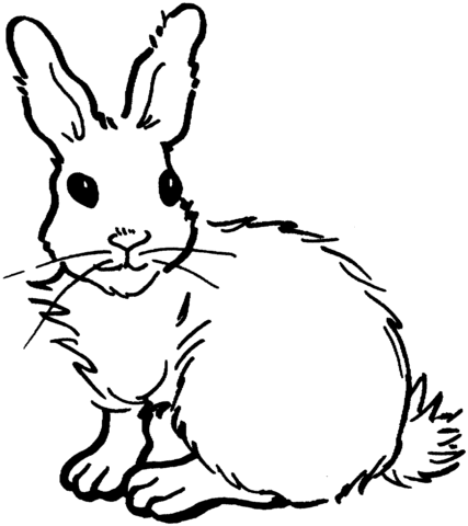 Rabbit coloring #16, Download drawings