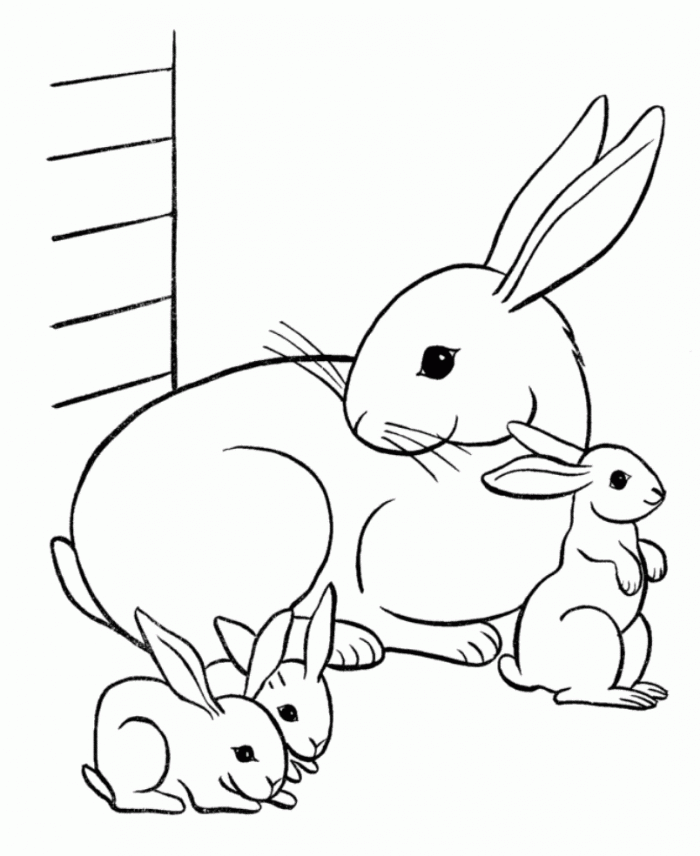 Rabbit coloring #10, Download drawings