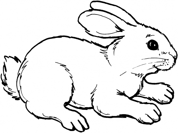 Rabbit coloring #7, Download drawings