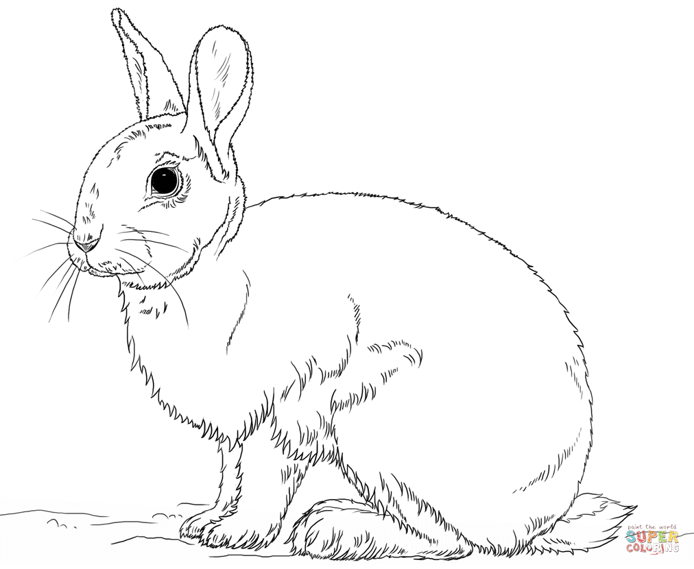 Rabbit coloring #5, Download drawings