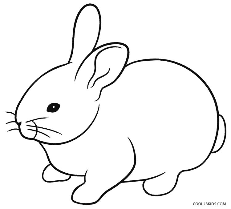 Rabbit coloring #12, Download drawings