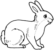 Rabbit coloring #8, Download drawings