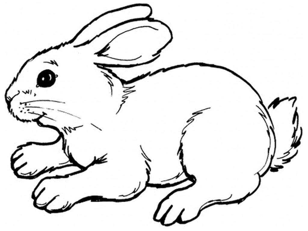 Rabbit coloring #20, Download drawings
