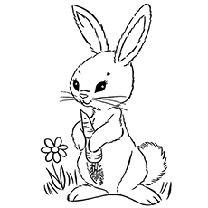 Rabbit coloring #4, Download drawings