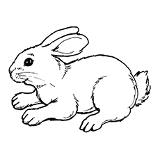 Rabbit coloring #19, Download drawings