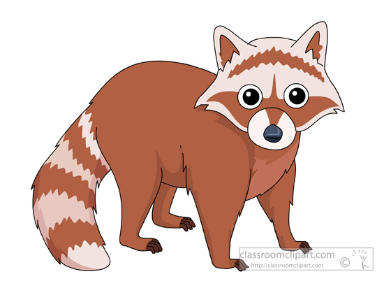 Racoon clipart #14, Download drawings