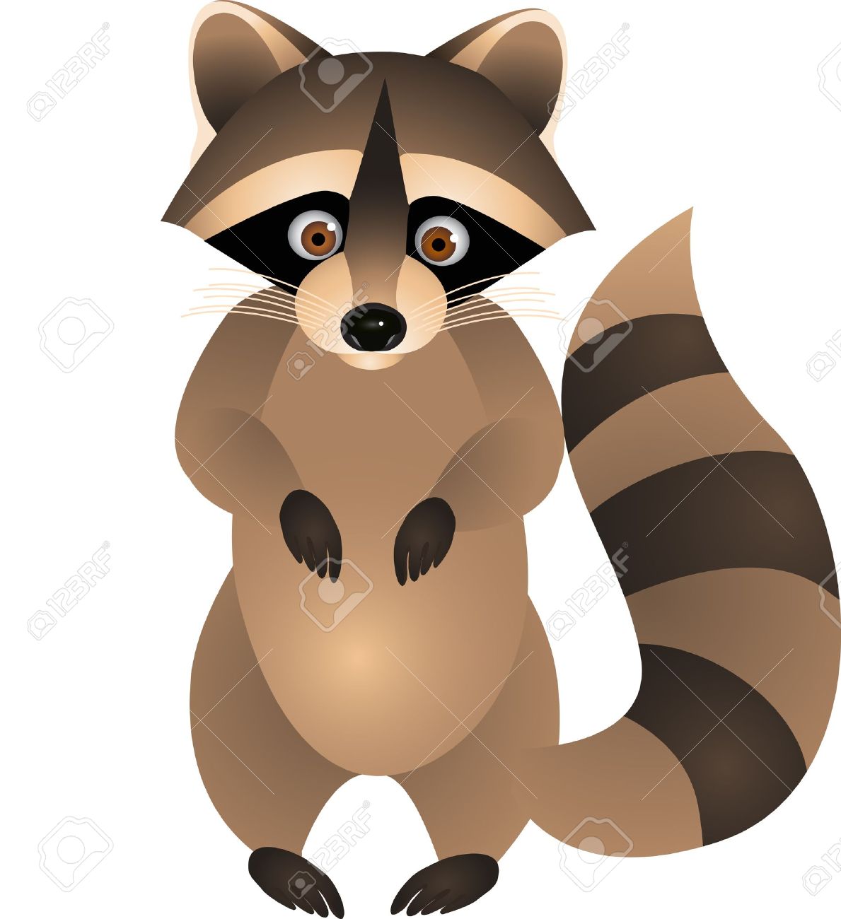 Racoon clipart #6, Download drawings
