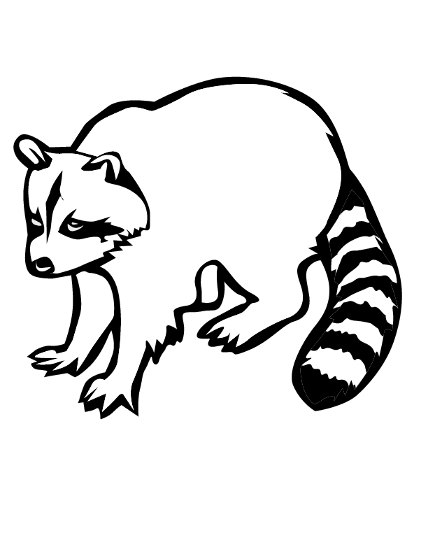 Raccoon coloring #12, Download drawings