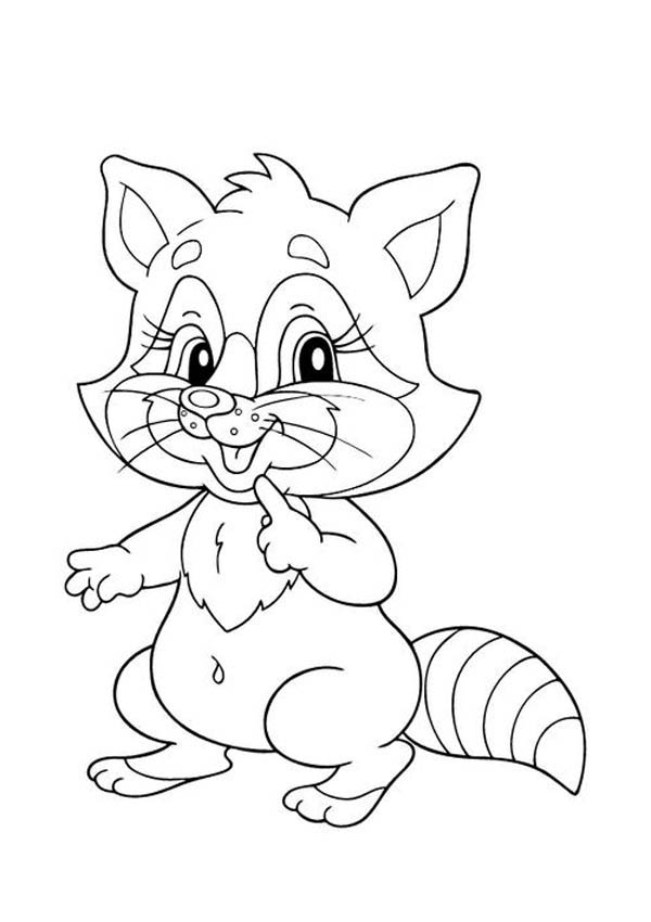 Raccoon coloring #7, Download drawings