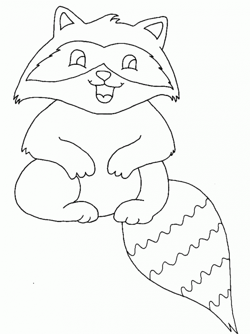 Raccoon coloring #20, Download drawings