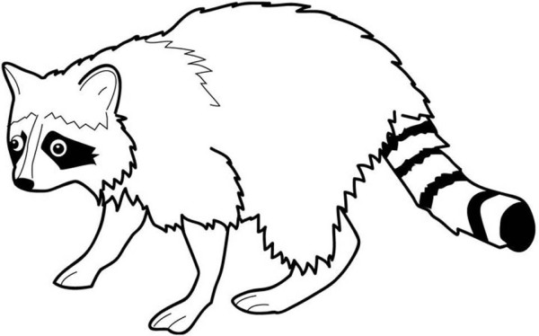 Raccoon coloring #18, Download drawings
